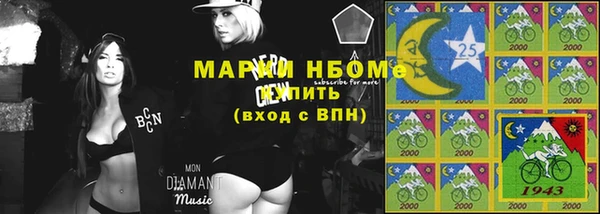 гидра Богданович