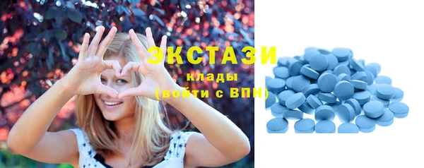 гидра Богданович