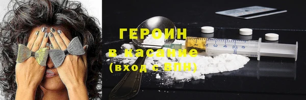 гидра Богданович