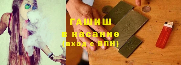 гидра Богданович