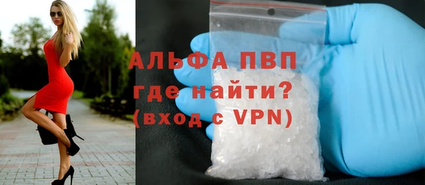 гидра Богданович