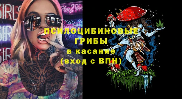 спиды Богородск