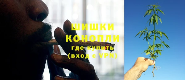 дмт Богородицк