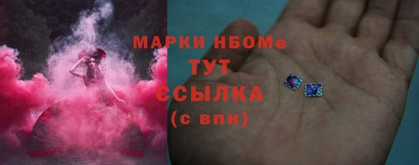 гидра Богданович