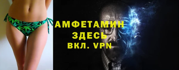 дмт Богородицк