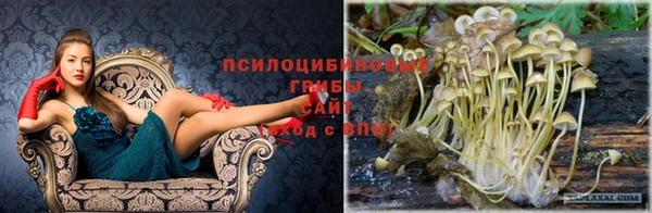 дмт Богородицк