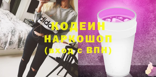 спиды Богородск