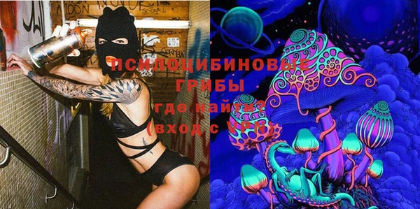 гидра Богданович