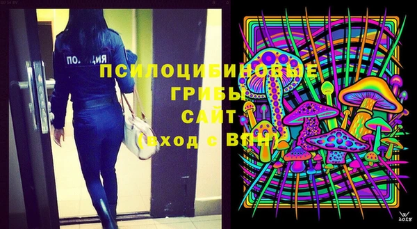 спиды Богородск