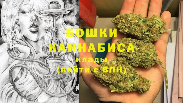 спиды Богородск