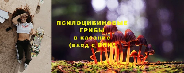 гидра Богданович