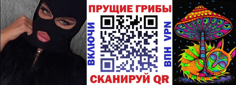 Галлюциногенные грибы мицелий  Купить где  Верхнеуральск 